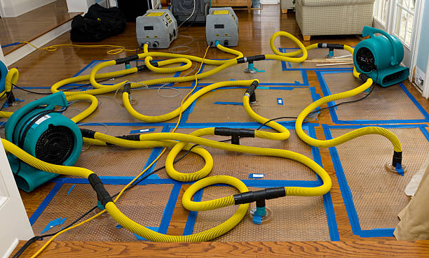 Professional Burst Pipe Water Damage technician working in Talisheek, LA